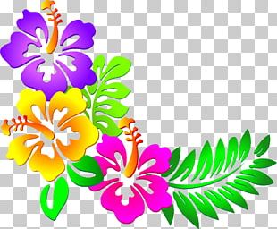 Hawaiian Flower PNG, Clipart, Computer Icons, Cut Flowers, Desktop ...