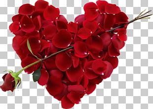 Flower Bouquet Death Bollywood Rose PNG, Clipart, Akshay Kumar, Annual ...