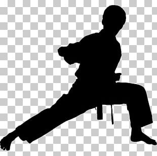 Chinese Martial Arts Mandarin Chinese Tai Chi Wushu PNG, Clipart ...