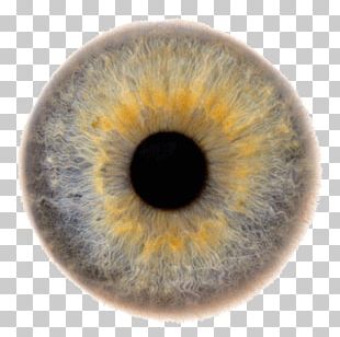 Transparent Eyeball Pupil Eye Color Human Eye PNG, Clipart, Blue ...