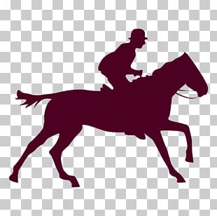 Horse Equestrian Jockey PNG, Clipart, Animals, Black, Black And White ...