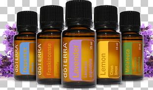 Essential Oil DoTerra Aromatic Compounds Bark PNG, Clipart ...