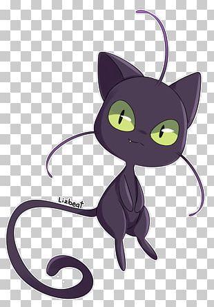 Black Cat Kitten Korat Domestic Short-haired Cat Whiskers PNG
