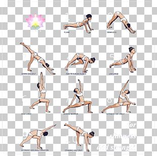 Yoga Photography Illustration PNG