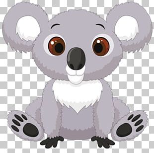 Baby Koala Billabong Zoo Bear PNG, Clipart, Animals, Baby, Baby Koala ...