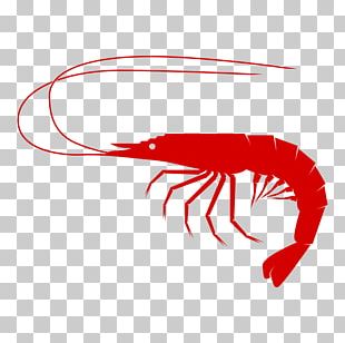 Shrimp PNG