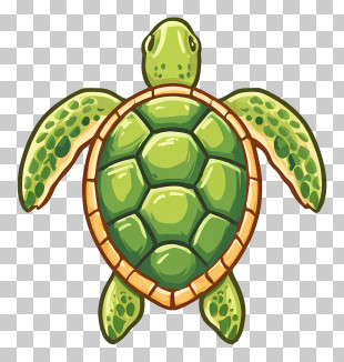 Sea Turtle Icon - Green Turtle With Detailed Shell PNG