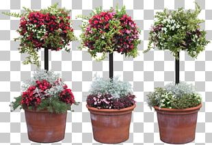 Grow Light Plant Garden Full-spectrum Light PNG