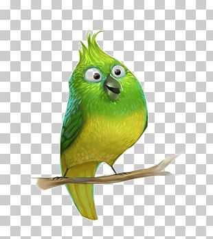 Bird Parrot Cartoon PNG, Clipart, Animals, Art, Artwork, Beak, Bird ...