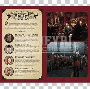 Hogwarts Harry Potter Gryffindor Hermione Granger Sorting Hat PNG ...