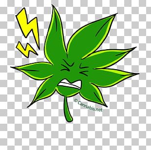 Cannabis Kush Plant PNG, Clipart, Artwork, Barneys Farm Shop, Cannabis ...