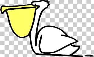 Bird Drawing PNG