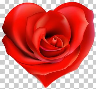 Rose Heart Flower Valentine's Day PNG, Clipart, Broken Heart, Cut ...