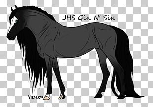 Foal Stallion Mare Mustang Halter PNG