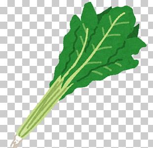 Chard Vegetable Komatsuna Spring Greens Png Clipart Avatar Chard Choy Sum Collard Greens