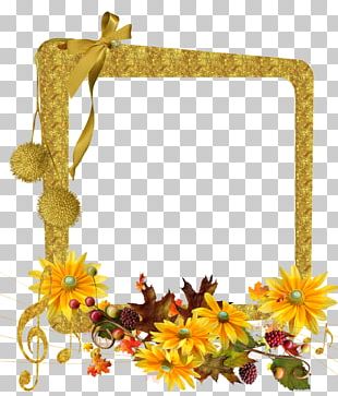 Flowers With Petals Falling On PNG, Clipart, Bright, Day, Falling ...