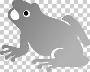 Frog Silhouette PNG