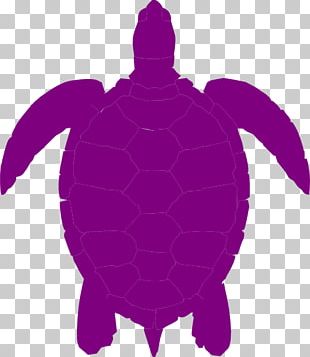 turtle silhouette png