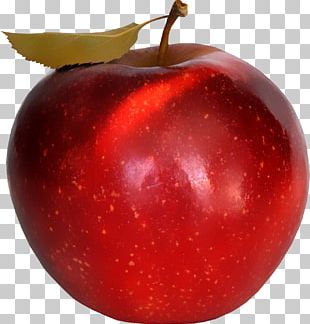 Apple Tree PNG, Clipart, Agriculture, Animation, Apple, Apple Clipart ...