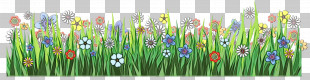 Meadow Wildflower Plant Flower Grass PNG, Clipart, Flower, Grass, Grass ...