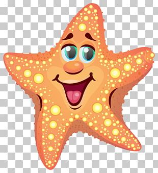 Drawing Sea Starfish Cartoon PNG, Clipart, Animal, Animals, Aquarium ...