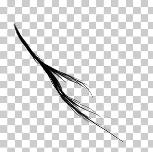 Get Wallpaper Strand Of Hair Png Images Strand Of Hair Clipart Free Download For Android Free