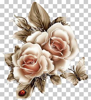 Blue Rose Flower Garden Roses PNG, Clipart, Adobe Fireworks, Blue ...