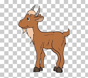 Goat Drawing Cartoon PNG
