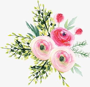 Refined Aesthetic A Bouquet Of Flowers PNG