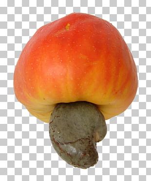 Cashew Fruit Nut Apple Food PNG