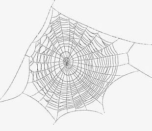 Spider Web PNG Images, Spider Web Clipart Free Download
