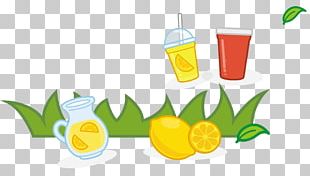 Juice Fruit Auglis Summer PNG