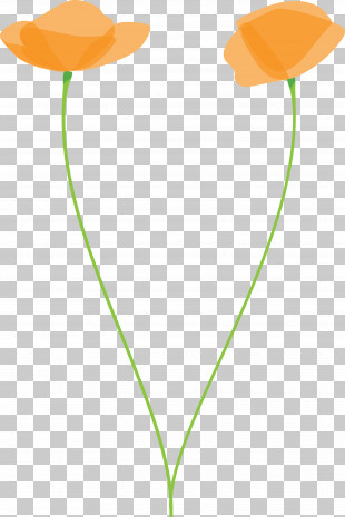 Poppy Flower PNG
