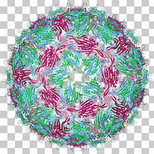 Pattern Circle PNG