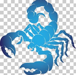 Scorpio Horoscope Astrological Sign Astrology Zodiac PNG