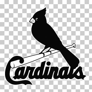 St. Louis Cardinals Chicago Cubs Milwaukee Brewers MLB PNG