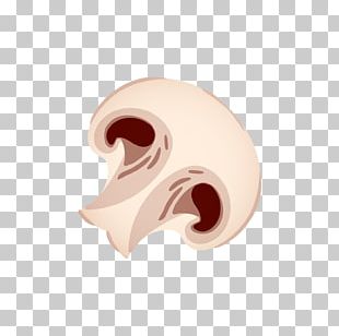 Straw Mushroom PNG