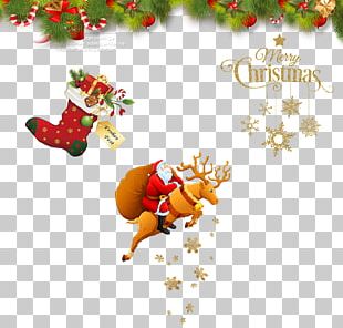 Santa Claus Christmas Elf Mrs. Claus PNG, Clipart, Art, Baby Vector ...