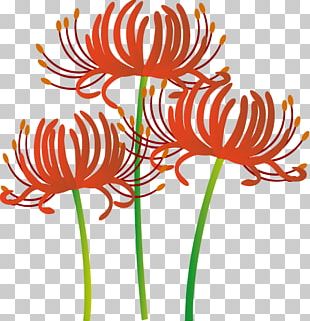 Red Spider Lily Tattoo Drawing Bird Png Clipart Animal Art Beak Bird Chicken Free Png Download