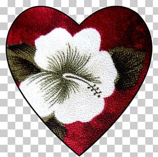 Love Les Paroles De L'Ã¢me Heart Petal PNG