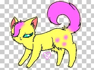 Kitten Whiskers Cat PNG