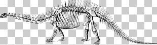 Apatosaurus Tyrannosaurus Dinosaur PNG, Clipart, Amphibian, Apatosaurus ...