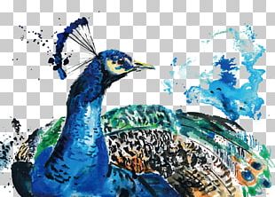 Illustration Watercolor Painting Art Peafowl PNG, Clipart, Angel, Art ...