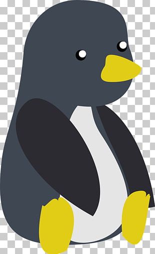 Duck Penguin PNG, Clipart, Animals, Beak, Bird, Duck, Ducks Geese And ...