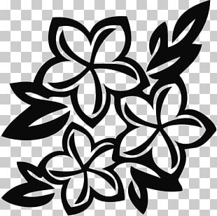 Flower Black And White PNG, Clipart, Area, Art, Black, Black And White ...