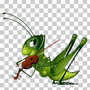 Insect Cricket PNG, Clipart, Art, Arthropod, Cartoon, Cricket, Download ...