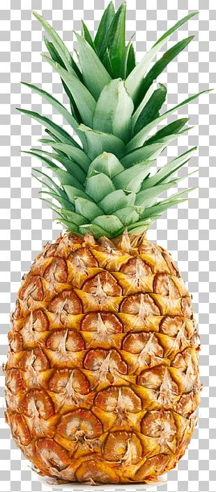 pina colada png images pina colada clipart free download pina colada png images pina colada