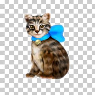 Bengal Cat California Spangled Dragon Li Toyger Kitten PNG