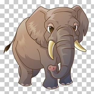 African Elephant Indian Elephant PNG, Clipart, African Elephant, Animal ...