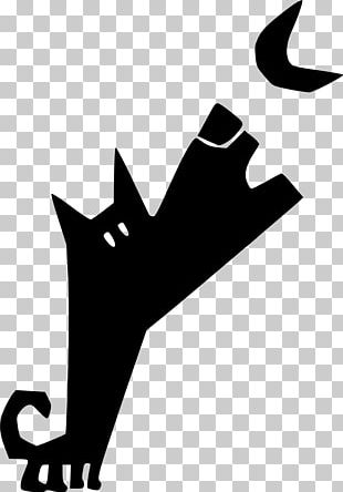 Film Poster Coyote PNG